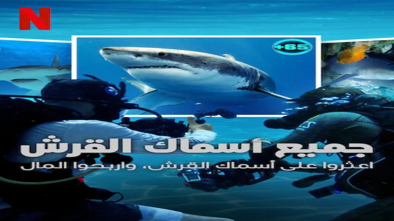برنامج All the Sharks الموسم الاول الحلقة 1 مترجمة